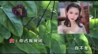 潮剧唱段精选 《望你仗义来相帮》《柴房会