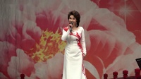 河北梆子《洪湖赤卫队》选段
