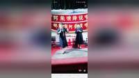 河南坠子《少侠包公》下载