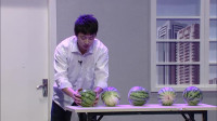 爱笑达人秀下载