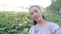 秦腔《三堂会审》《书堂合婚》《虎口缘》下载
