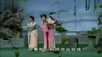 黄梅戏《泪洒相思地 游园》下载