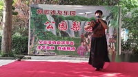 河南豫剧 《七奶奶》选段下载
