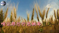 豫剧《焦裕禄》一片真情似春暖下载