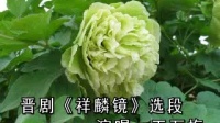 晋剧伴奏 《祥麟镜》见宝镜顿觉得豁然心亮下载