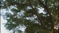 赣南采茶戏《秦香莲》第二集