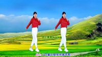 DJ广场舞《多年以后》32步附教学