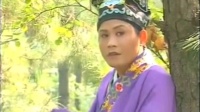 庐剧《孤儿流浪记》选段  总六集下载