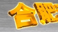 庐剧《超生游击队》1至2总四集下载