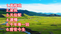 黄梅戏《梁祝》《天仙配》《渡情》《千年等一回》下载