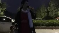 曲剧《杨英告状》下载