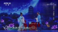 黄梅戏《天仙配》选段 袁媛饰七仙女 赵章伟饰董永下载