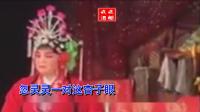 豫剧《烧柴王》夸美人 伴奏