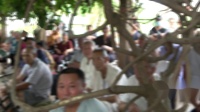 大平调《李彦龙征南》濮阳龙乡大平调艺术团下载