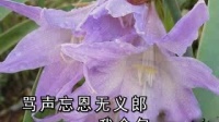 晋剧伴奏 《赤桑镇》见包拯怒火满胸膛下载