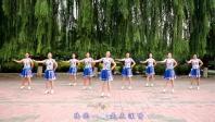 云裳广场舞《独爱一枝花》下载