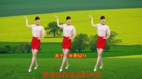 燕子广场舞教学《爱到永远的那一天》下载
