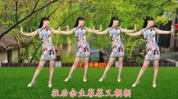 燕子广场舞教学 《苏州雨》下载