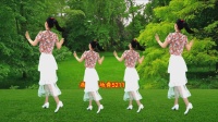 燕子广场舞教学 《赤裸离开》潇洒又俏皮下载