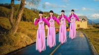 燕子广场舞教学《村花》下载