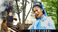黄梅戏《李三娘挨磨》嫂嫂就是个母老虎 磨房三娘泪汪汪下载