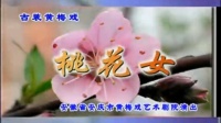 黄梅戏《桃花女》完整版下载