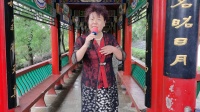 豫剧《倒霉大叔的婚事》 紧走慢走四里半下载