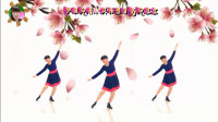 阳光美梅广场舞《风雨人生路》正面演示
