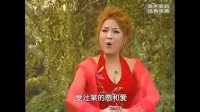 秦腔花脸专辑下载