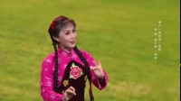 眉户《梁秋燕》选段