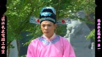 庐剧《隔层肚皮隔层山》宽屏欣赏版 1 共六集下载
