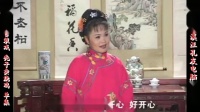 庐剧《秃子卖烧鸡》宽屏欣赏版 共一集下载