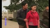 庐剧现代戏《金钱的诱惑》宽屏欣赏版 1 共六集下载