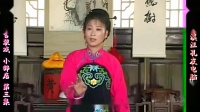 庐剧《小辞店》宽屏欣赏版 3 共六集下载