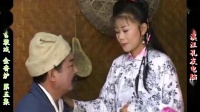 庐剧《金香炉》宽屏欣赏版 5 共六集下载