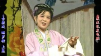 庐剧《晒罗裙》宽屏欣赏版 共两集下载