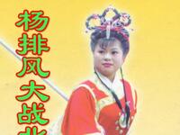 大鼓书《杨排风大战北国》全集下载