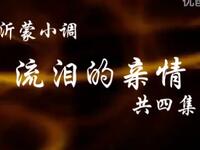 沂蒙小调《流泪的亲情》下载