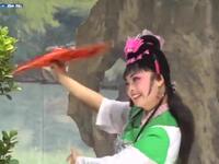 花鼓戏《泪洒相思地》完整版