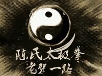 陈氏太极拳74式 老架一路（全教程）