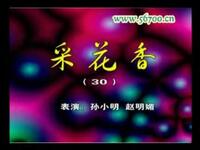 东北二人转《采花香》第30集下载