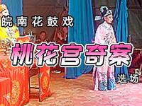 皖南花鼓戏《桃花宫奇案》选场