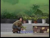 姚剧现代戏《兰花女》全剧下载