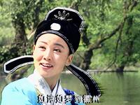 黄梅戏《龙凤奇缘》下载