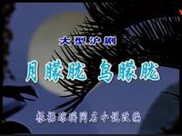沪剧《月朦胧 鸟朦胧》全剧下载