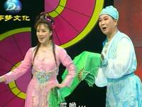 东北二人转正戏《西门庆全传》第6集  痛失