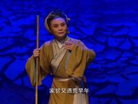 黄梅戏《葵花井》全集下载
