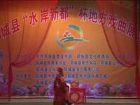 柳子戏《打登州》全集