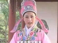 黄梅戏《走投无路的爱情》下载