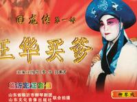 柳琴戏《回龙传》《王华买爹》全集 山东省临沂市柳琴剧团演出